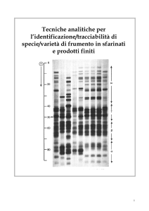 Tecniche analitiche per l`identificazione/tracciabilità di specie/varietà