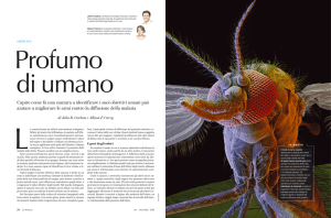 Capire come fa una zanzara a identificare i suoi obiettivi