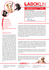 newsletter