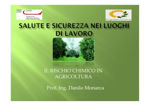 IL RISCHIO CHIMICO IN AGRICOLTURA Prof. Ing. Danilo Monarca