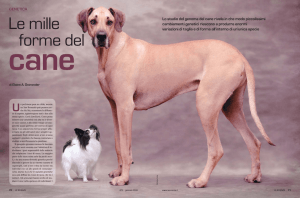 GENETICA Lo studio del genoma del cane rivela in che modo