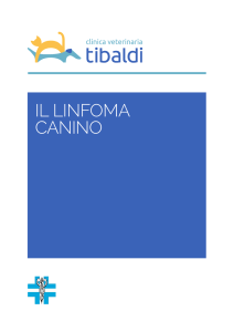Il linfoma canino - Clinica Veterinaria Tibaldi Srl