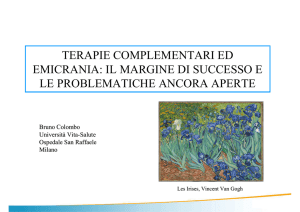 Il margine di successo e le problematiche ancora aperte