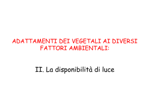 Lez7_Adattamento vegetali all`ambiente2014