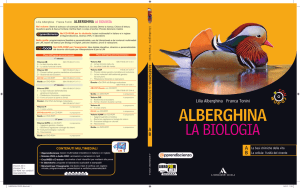 ALBERGHINA COVER_ABconf.indd