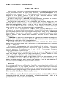 SIMG Società Italiana di Medicina Generale IL VIRUS DEL VAIOLO I
