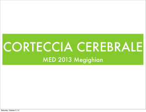 MED 2013 Megighian