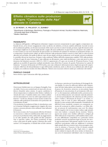 Effetto climatico sulle produzioni di capre “Camosciate