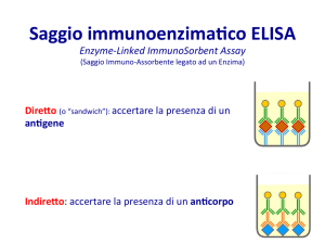 Saggio immunoenzimaBco ELISA