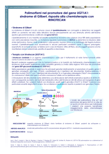 Polimorfismi nel promotore del gene UGT1A1: sindrome di Gilbert