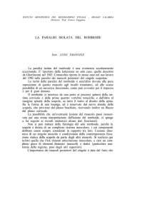 Acta n.1-1955 articolo 19