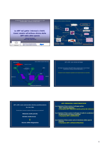 Le APP nel gatto: interessi e limiti. Cenni relativi all`utilizzo clinico