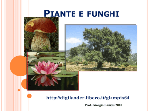 Le Piante e i Funghi - Digilander