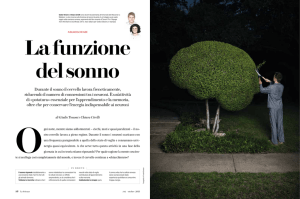 Durante il sonno il cervello lavora freneticamente