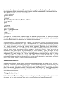 Integratori alimentari - Farmacia S. Antonio – Brescia