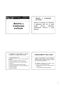 Malattie a trasmissione orofecale