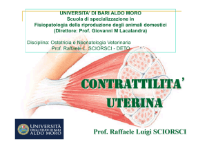 contrattilità uterina - index - Scuola di Specializzazione in