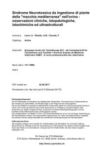 Sindrome Neurotossica da ingestione di piante della - E