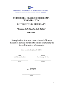 Abstract tesi dottorato Mauro Lenti