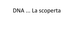 1.73 DNA la scoperta file definitivo