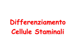 Lezione 13-Differenziamento e Staminali__37507716