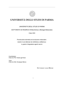 università degli studi di parma