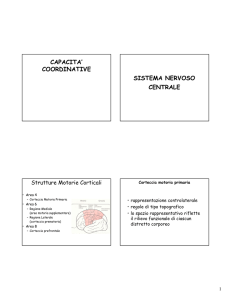 capacita` coordinative sistema nervoso centrale