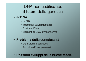 DNA non codificante: il futuro della genetica