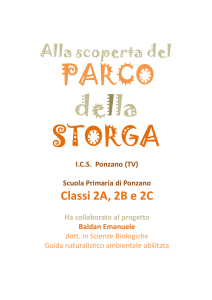 alla scoperta del parco della storga