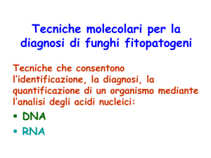 Analisi molecolare