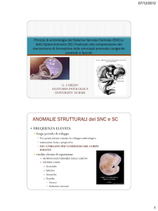 CARUSO_embriologia SNC Splancno
