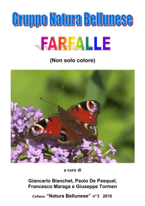 Libretto farfalle - Gruppo Natura Bellunese