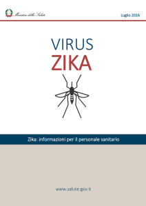 Zika: informazioni per il personale sanitario