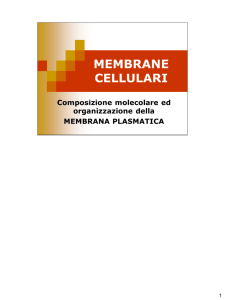 2. membrane cellulari