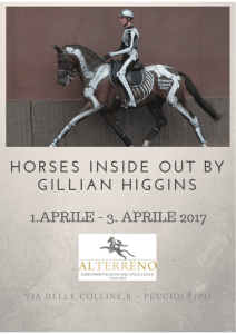 HORSES INSIDE OUT BY GILLIAN HIGGINS