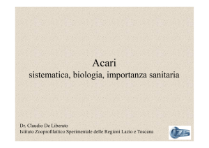 Acari - ASL Roma B