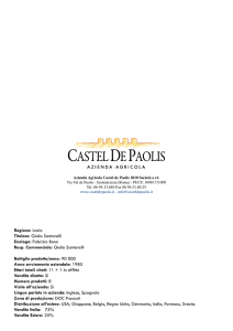 schede dei vini in formato pdf