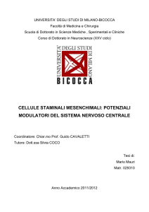 cellule staminali mesenchimali: potenziali modulatori del sistema