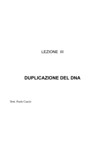 duplicazione del dna