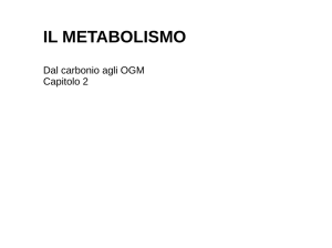 il metabolismo - I blog di Unica