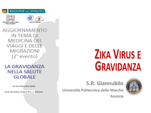 Zika virus e gravidanza - Viaggiatori, malattie infettive