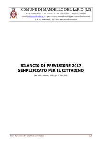 Bilancio semplificato per il cittadino 2017