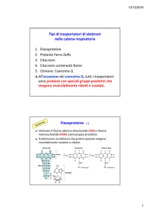 Tipi di trasportatori di elettroni nella catena respiratoria
