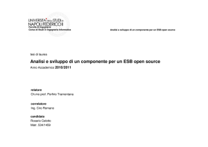 Analisi e sviluppo di un componente per un ESB open source