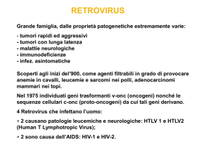 Diapositiva 1