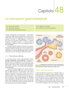 1 pdfsam_Cap 48 secrezionei gastrointestinali
