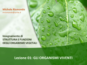 Diapositiva 1 - Progetto e