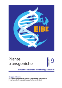 Piante transgeniche - IPN-Kiel