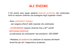 gli enzimi - Docenti.unina