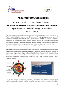 Entomologia e microscopia elettronica - Liceo Marconi